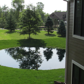 Backyard Pond