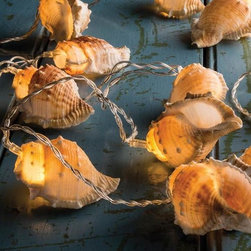 Enchanted Conch Seashell Light Strand - Novelty Lighting