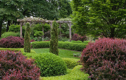 Don't Hedge Me In: Check Out These Alternatives to Box Hedges