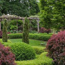 arbor