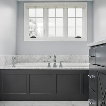 Transitional Whole House Remodel - Naperville