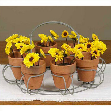 Serving Trays and Bowls