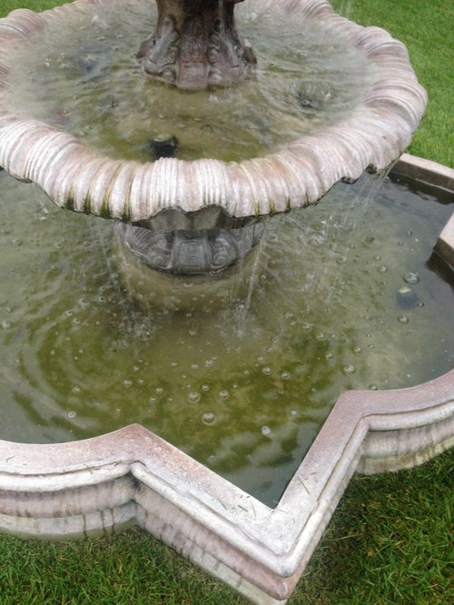 How to remove green growth at the bottom of fountain.