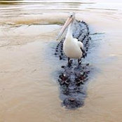 Craig Anspach's photo