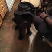 Gary Wilson's photo