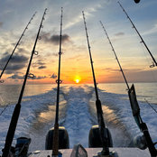 Doug Witsken's photo