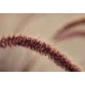 Patrick Stimson's photo