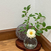 E Oさんの写真