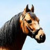 YVONNE SUAREZ's photo