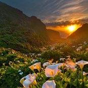 Nicole Harrison's photo