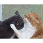 Sharla Hulsey's photo