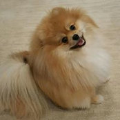 Peggy Backholm's photo