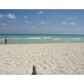 Janis Modica's photo