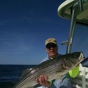 Gordon Napier's photo