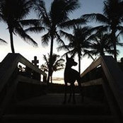 Andrew Malarney's photo
