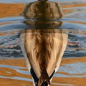 Pablo Weaver's photo