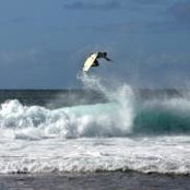 Sean Ragenovich's photo