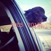 Katie Penote's photo
