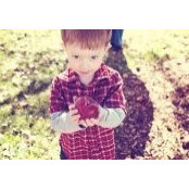 Anna Amoroso's photo