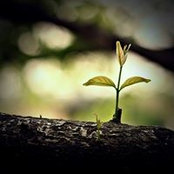 Nu Cu's photo