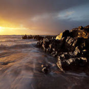 David Wynne's photo