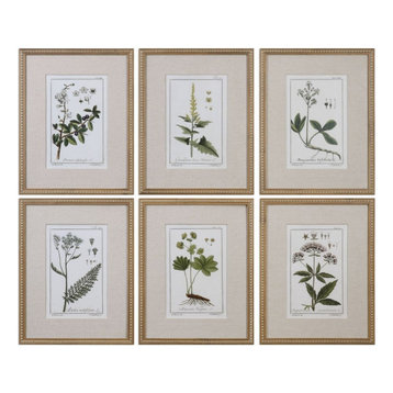 Uttermost 33651 Green Floral Botanical Study - 22.625" Floral Print (Set of 6)