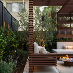 Trellis & Firepit Area - North View