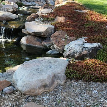 Waterfall Design and Koi Ponds