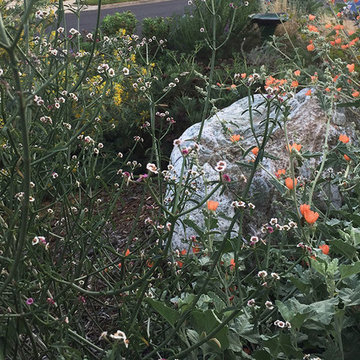 2017 Native Plant Garden Tour