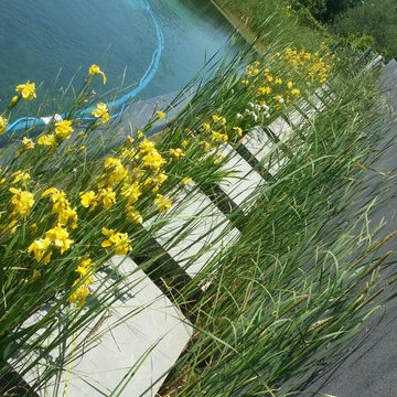 Biotop Natural swimming pool in Columbia County New York