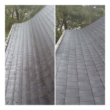 Roof Cleaning