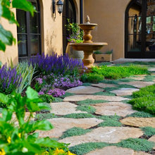 Landscape Ideas