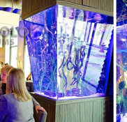 Living Color Aquariums Miami Marlins  Custom aquarium, Aquarium, Saltwater  aquarium