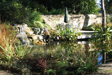 jardin d'eau au naturel