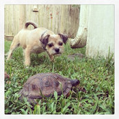 tkturtle's photo
