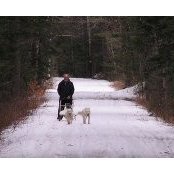 Allan Thomas's photo