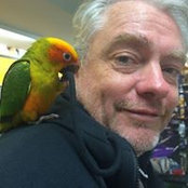 Mark Harlen's photo