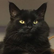 Trudy Yanchik's photo