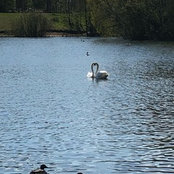 Laurelle Litchmore's photo