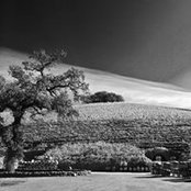 Jayson Perez's photo