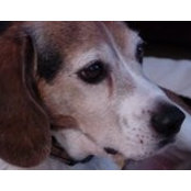 Nora Hickey's photo