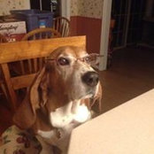 Kate Shier's photo