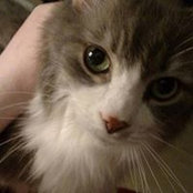Melissa Brown's photo