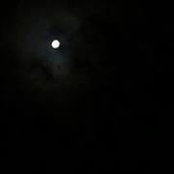 Rasha Rizkallah's photo