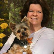 Robin Solheim's photo