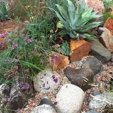 Colorful Watershed Front Landscape