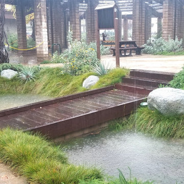 Rain Garden at Work