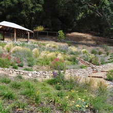 Pavillion