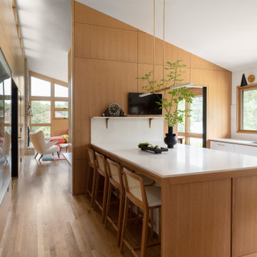 Midcentury Marvel