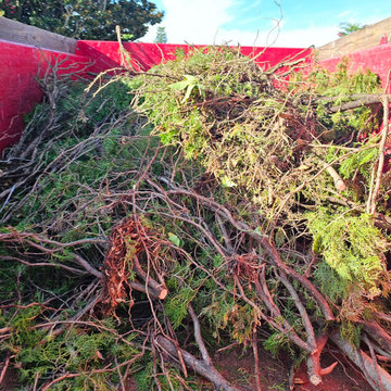 New Port Richey Dumpster Rental Junk Removal Waster Management KOZAK HAULING